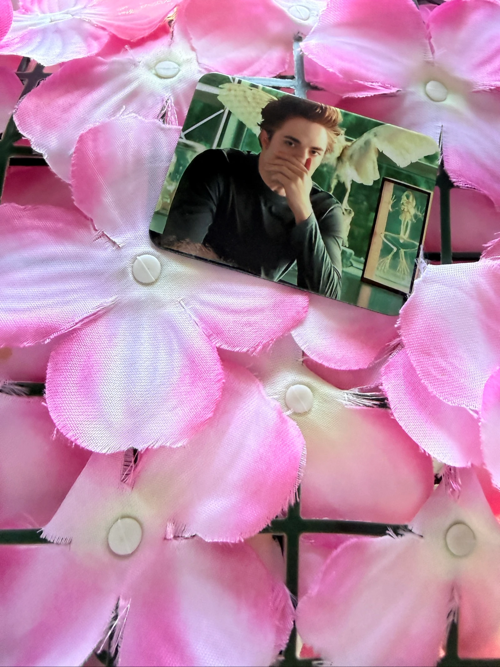 Imã Edward Cullen – photo 2